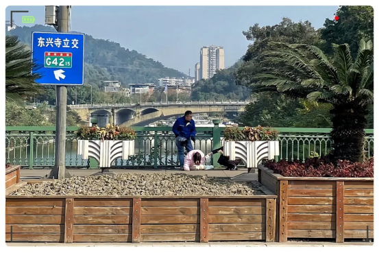 E0310AEC8C78BEF847A3D466311_383E9CE3_C7B4A