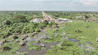 019F35695D84AFB2F384C033F15_9B4C0BB1_33C45