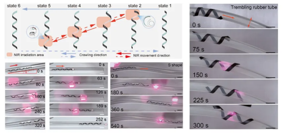 835E5180F483D3BC9D98084C853_1BFFAD4F_8D843