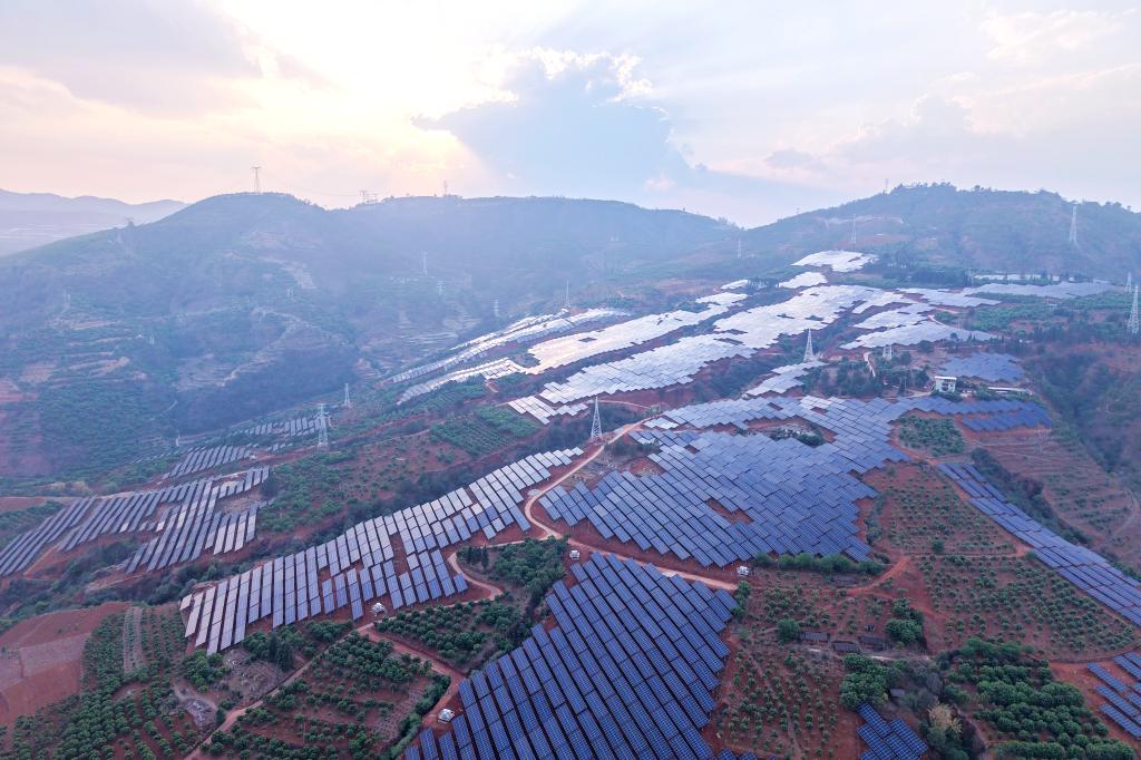 2A4A16CAE22C8F4EEE0802B0FC8_D24F4590_1DA5F