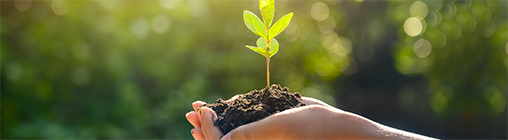 365英国上市公司(集团)官方网站-Global Platform